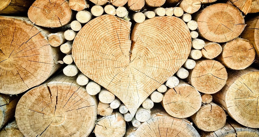 Cefapack per l’ambiente: il legno proveniente dalle segherie certificate PEFC